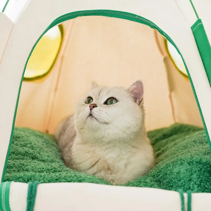 Cozy Igloo Cat Tent – Portable Comfort for All Seasons | Gabby Whale