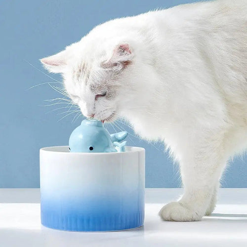 Ceramic Cat Water Fountain | Whale Water Fountain Spout