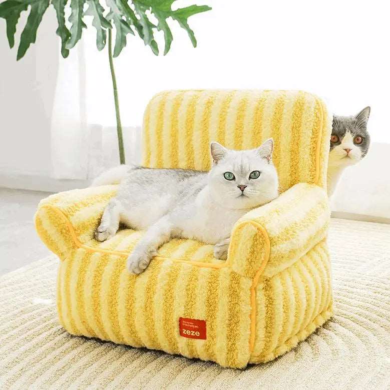 Cozy and Durable: The Perfect Pet-Friendly Sofa