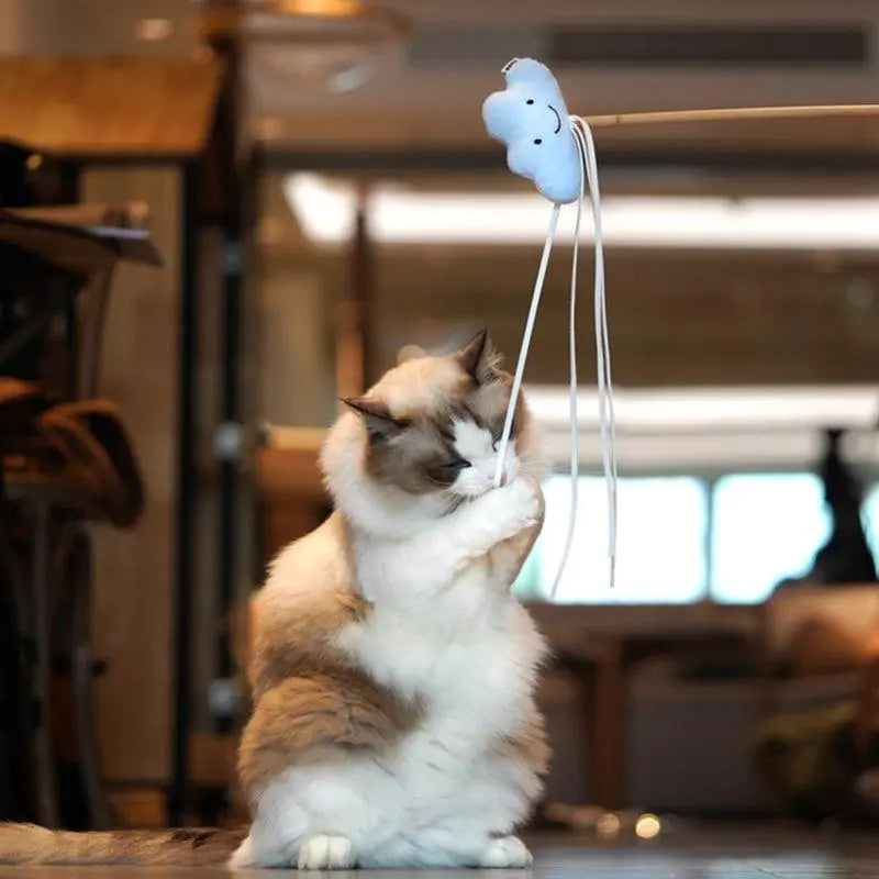 Starry Sky Cat Wand Toy: The Cosmic Play Experience for Your Cat
