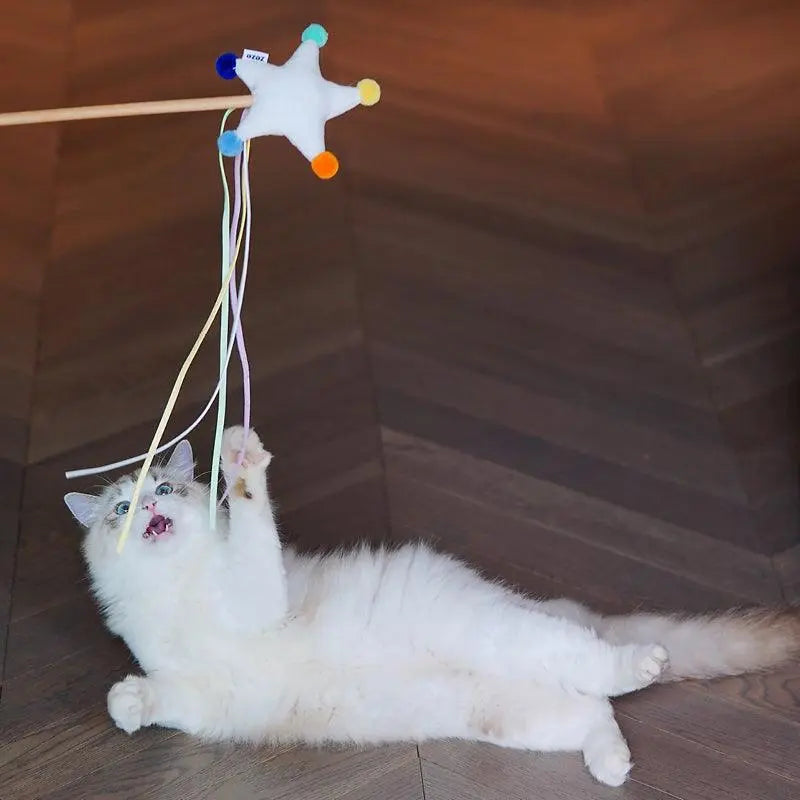 Starry Sky Cat Wand Toy: The Cosmic Play Experience for Your Cat